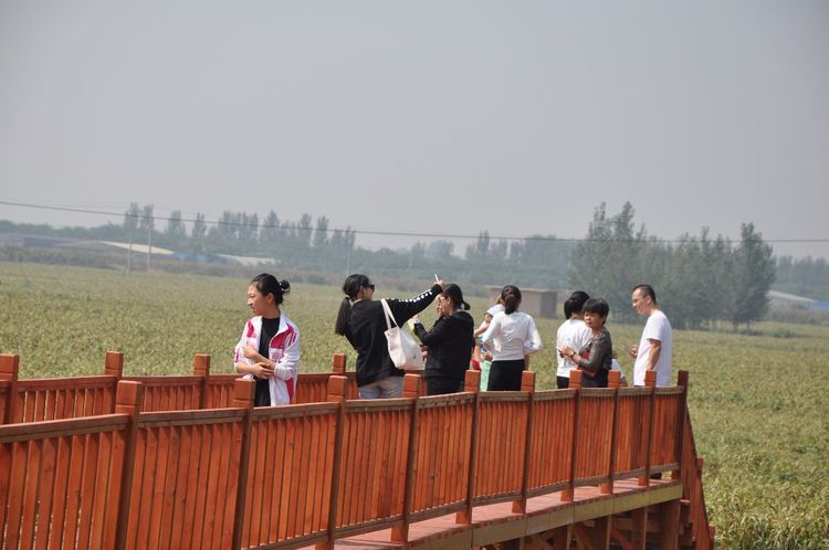 农村美起来 农村美起来